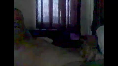 Snapshot of grittslappa chatting on 12.14.25 grittslappa online show from 12.14.25