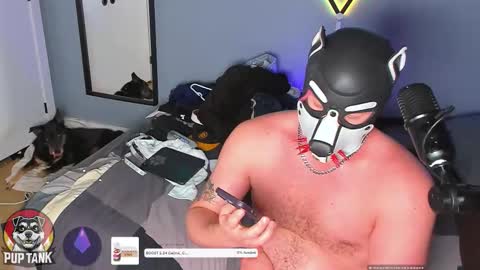 Alpha pup online show from 11.23.25