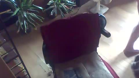Guido online show from 07.26.26