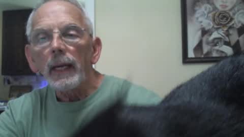 Roy online show from 02.09.25