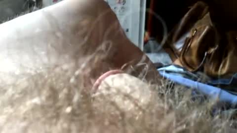 Snapshot of guttersnipe71 chatting on 11.15.25 guttersnipe71 online show from 11.15.25