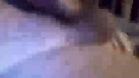 Snapshot of h_rd333 chatting on 03.11.25 h_rd333 online show from 03.11.25