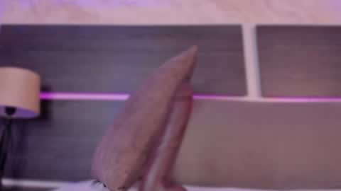 Habiy  online show from 01.14.25