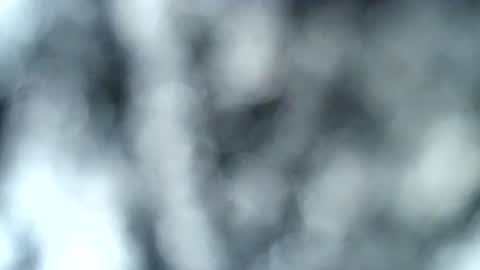 Snapshot of haileyblonde chatting on 01.17.25 tatted blonde online show from 01.17.25