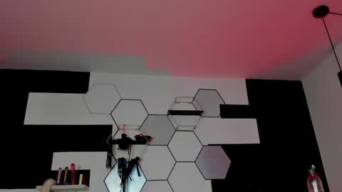 haileycat_ online show from 01.23.25