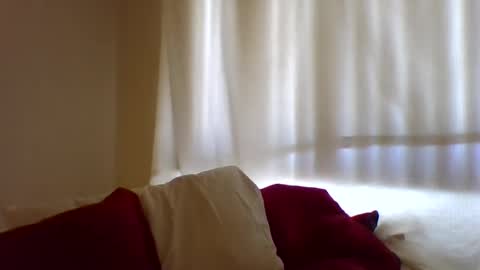 Hailey online show from 02.11.25