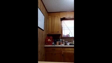 hailstorm32 online show from 04.19.26