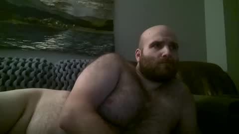 Hairiest Bear online show from 01.11.25