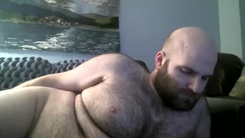 Hairiest Bear online show from 01.12.25