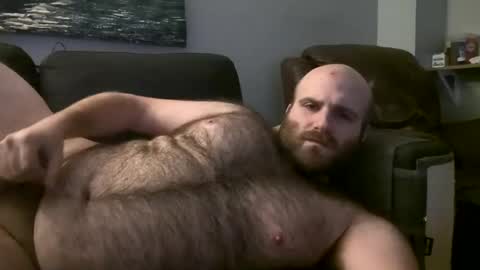 Hairiest Bear online show from 03.02.25