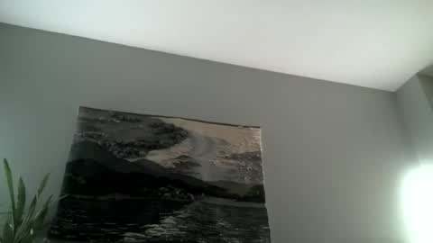 Hairiest Bear online show from 11.15.25