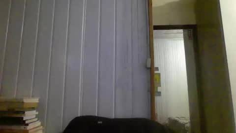 horny online show from 01.03.25