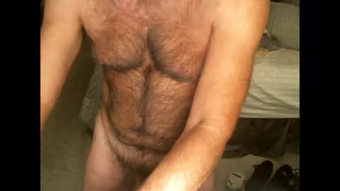 Hairy pecs online show from 11.11.25