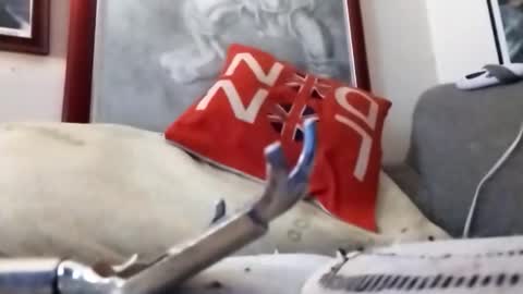 Marty online show from 02.22.26