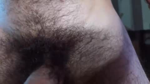 Hairy online show from 02.28.25