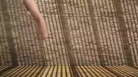 halohha online show from 03.02.26