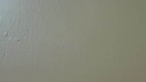 Snapshot of hamhead71 chatting on 02.04.25 hamhead71 online show from 02.04.25