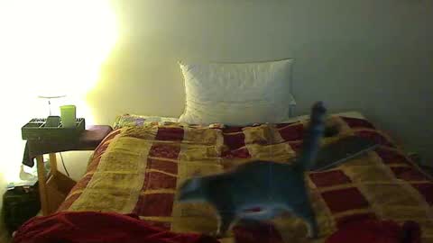 hammerthatthang73 online show from 11.03.25