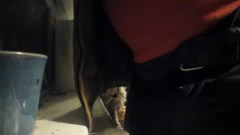 handncocknocum online show from 12.08.24