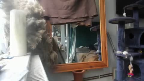 handncocknocum online show from 12.09.24