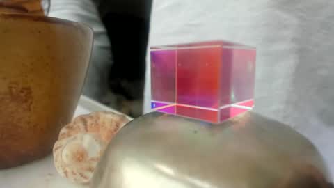 handncocknocum online show from 12.26.24