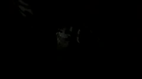 handsomeda1 online show from 12.23.24