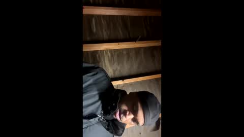 handsomeda1 online show from 01.19.25