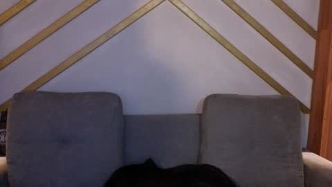 Snapshot of hanna_gatess chatting on 11.22.25 ANA online show from 11.22.25