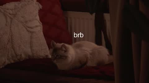 Snapshot of hannasthesia chatting on 02.03.26 Hanna online show from 02.03.26