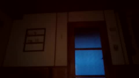 hanzik1954 online show from 05.05.26