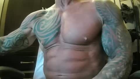 Snapshot of hardbody205a chatting on 02.19.25 hardbody205a online show from 02.19.25