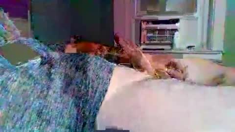 Snapshot of hardcockoncam22 chatting on 11.03.25 cervixpainter25 online show from 11.03.25