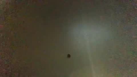 For You online show from 01.26.25