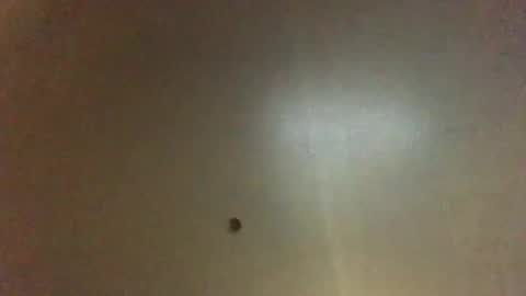 For You online show from 03.04.25