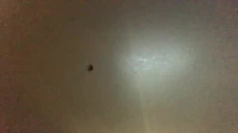 For You online show from 09.28.25