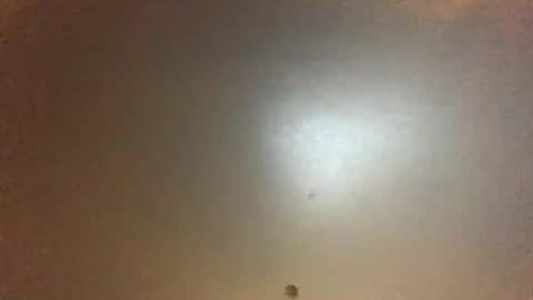 For You online show from 04.11.26