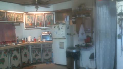 john nobles online show from 12.21.24