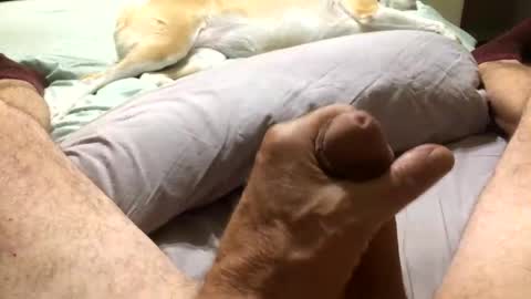 Harley99 online show from 11.11.25