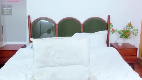 Snapshot of harriethelen chatting on 02.01.26 helen online show from 02.01.26