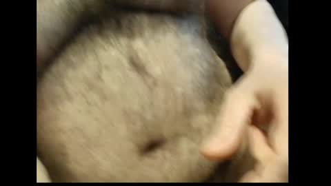 harry_banana online show from 02.21.26