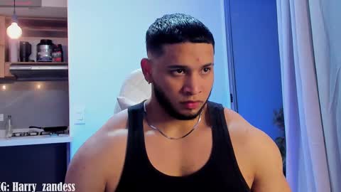 Harry Zandes online show from 02.13.25