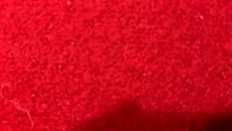 haufd online show from 05.02.26