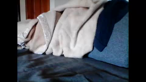 Snapshot of havier282874 chatting on 06.09.26 havier282874 online show from 06.09.26