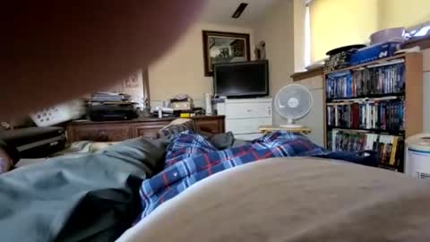 hawkfan1888 online show from 01.02.25