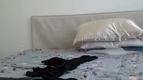 Snapshot of heatwavee chatting on 02.02.25 heatwavee online show from 02.02.25