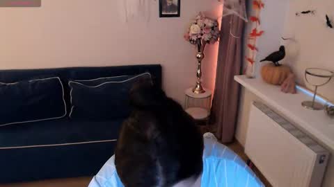 Heaven girl online show from 11.02.25