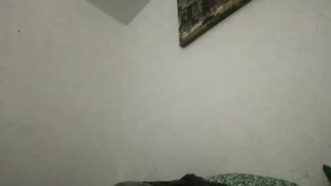 Snapshot of heff919 chatting on 06.20.26 Thisisheff online show from 06.20.26