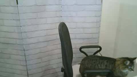 Helen online show from 01.13.26