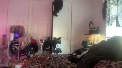 Bunnie Rotz online show from 11.25.25