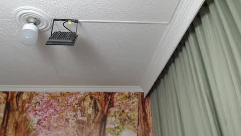 Hellen online show from 01.23.25